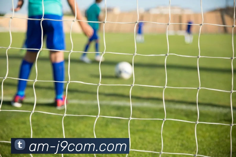 九游会官网APP 封面图